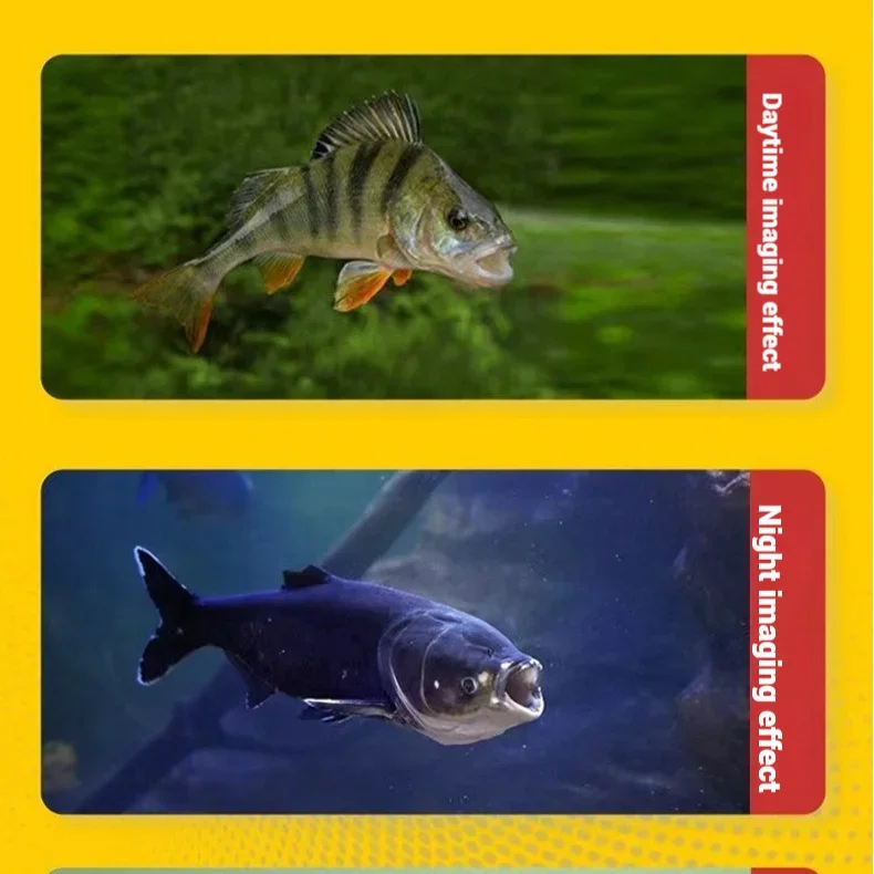 4.3인치/5인치 HD 화면 낚시 카메라, 야간 투시  - Fish Finder Portable 리뷰 및 가격